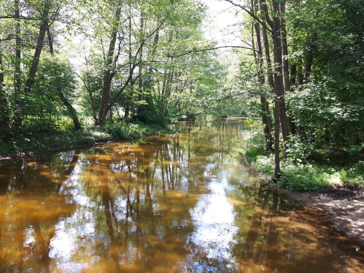 Mazury Domek Caloroczny Przy Lesie, Jezioro Pelnik Eksteriør bilde